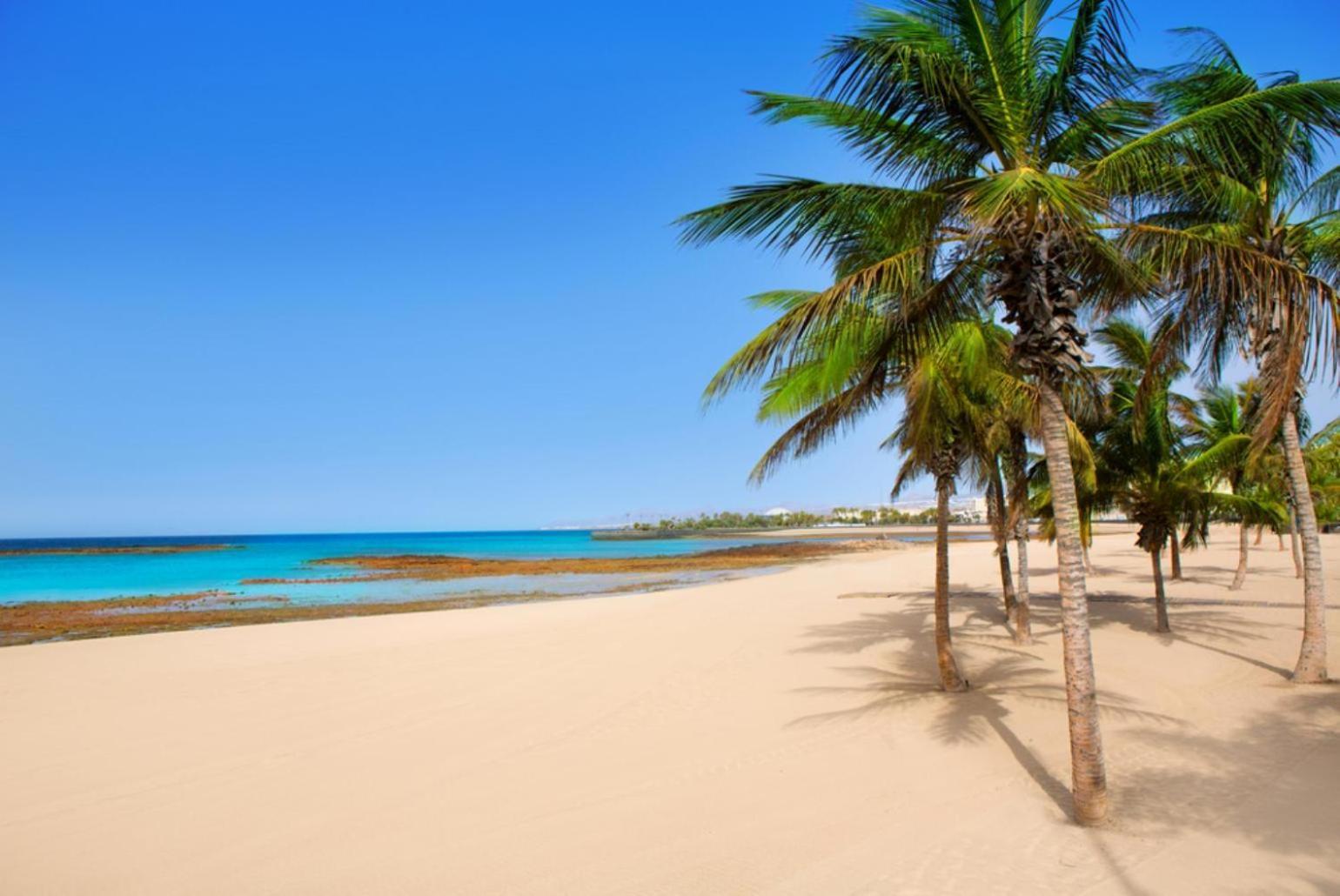 Villa Isla De Lobos 푸에르토 델 카르멘 외부 사진